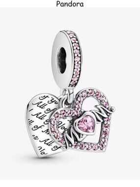 Pandora Charms